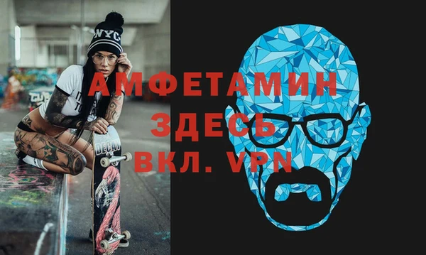 прущие грибы Беломорск